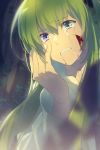  1girl 1other androgynous aqua_eyes blood blood_from_mouth blood_on_face cis05 commentary_request crying crying_with_eyes_open enkidu_(fate/strange_fake) eye_reflection eyebrows_visible_through_hair fate/grand_order fate_(series) green_hair hair_between_eyes hand_on_own_face heterochromia kingu_(fate) long_hair open_mouth reflection siduri_(fate/grand_order) tears teeth very_long_hair violet_eyes white_robe 