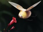  brown_eyes commentary creature cutiefly english_commentary flower flower_request flying full_body gen_7_pokemon highres no_humans pokemon pokemon_(creature) realistic solo tapwing 