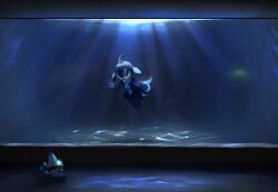  1girl black_dress black_hair black_pantyhose blowhole cetacean_tail dolphin_girl dorsal_fin dress fins fish_tail frilled_dress frilled_sleeves frills hair_between_eyes head_fins highres kemono_friends light_rays long_sleeves lucky_beast_(kemono_friends) multicolored_hair orange_eyes orca_(kemono_friends) pantyhose r_(r_gavaaim) short_hair sidelocks solo sunbeam sunlight tail two-tone_dress two-tone_hair underwater white_dress white_hair 