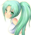  green_eyes green_hair higurashi_no_naku_koro_ni long_hair lowres ponytail smile sonozaki_mion 
