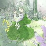  flower green green_hair kazami_yuuka skirt skirt_set touhou vest 