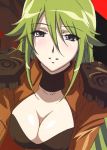  breasts cleavage green_eyes green_hair long_hair pheles shakugan_no_shana smile 