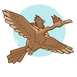  beak bird brown_feathers crittercup evolutionary_line fearow feathered_wings feathers flying no_humans pokemon pokemon_(creature) spearow wings 