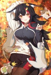  1girl :3 absurdres animal_ear_fluff animal_ears autumn autumn_leaves black_hair black_hoodie black_shorts cat choker hair_ornament highres hihi_(oekakihix) hololive hood hoodie leaf long_hair looking_at_viewer lying maple_leaf miofa_(ookami_mio) multicolored_hair on_back ookami_mio open_mouth outdoors pantyhose red_hair shorts tail virtual_youtuber white_hoodie wolf_ears wolf_girl yellow_eyes 