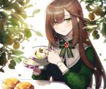  1girl artist_name bangs blush braid breasts brown_hair closed_mouth commentary_request cup dress ear_piercing eyebrows_visible_through_hair fingernails food fruit gem glint green_dress green_eyes green_ribbon holding holding_cup jewelry leaf lemon long_fingernails long_hair medium_breasts mole mole_under_eye mole_under_mouth nail_polish neck_ribbon noixen original piercing plant purple_nails ribbon ring ruby_(gemstone) saucer smile solo striped striped_neckwear striped_ribbon table teacup upper_body very_long_hair watch watch 