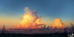  artist_logo bird blue_sky clouds dated evening gradient_sky highres no_humans orange_sky original outdoors power_lines scenery sky utility_pole yucong_tang 