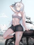  1girl ahoge animal_ear_fluff animal_ears arknights arm_behind_back arm_support arm_up bandeau bangs bare_arms bare_legs bare_shoulders black_footwear black_shorts blue_sky boots breasts clouds commentary cowboy_shot cutoffs day eyyy grey_eyes ground_vehicle hair_between_eyes highres lappland_(arknights) long_hair looking_at_viewer medium_breasts midriff motor_vehicle motorcycle navel open_fly outdoors scar scar_across_eye short_shorts shorts silver_hair sky solo standing standing_on_one_leg stomach strapless thighs tubetop very_long_hair wolf_ears 