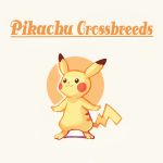  character_name commentary creature english_commentary english_text full_body gen_1_pokemon highres no_humans onemegawatt pikachu pokemon pokemon_(creature) shadow solo standing 