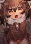  1girl :o absurdres animal_ears bangs blush brown_coat brown_eyes brown_hair coat commentary eurasian_eagle_owl_(kemono_friends) eyebrows_visible_through_hair fur_coat fur_collar grey_background hair_between_eyes head_wings highres kaamin_(mariarose753) kemono_friends long_sleeves looking_at_viewer open_mouth owl_ears short_hair simple_background solo tail 