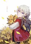  1boy absurdres black_hair blue_eyes bouquet chinese_clothes csyko fate/grand_order fate_(series) flower gao_changgong_(fate) gradient_hair grey_hair hair_between_eyes highres holding holding_flower long_hair male_focus multicolored_hair no_mask silver_hair solo younger 