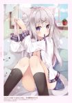  1girl absurdres animal_ear_fluff animal_ears bangs black_legwear blue_eyes blue_panties blush cat_ears cat_tail collared_shirt dress_shirt eyebrows_visible_through_hair hair_between_eyes hair_ribbon highres hoshi_(snacherubi) kneehighs long_hair long_sleeves looking_at_viewer mouth_hold open_clothes open_shirt original panties purple_ribbon ribbon ribbon_in_mouth shiny shiny_hair shiny_legwear shirt silver_hair sitting solo tail tying_hair underwear very_long_hair white_shirt wing_collar 