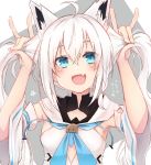  1girl animal_ear_fluff animal_ears bangs blue_eyes blush braid detached_sleeves fang fox_ears fox_girl fox_shadow_puppet hololive hot_kakigoori long_hair looking_at_viewer open_mouth shirakami_fubuki skin_fang smile solo twintails upper_body virtual_youtuber white_hair 