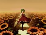  green_hair kazami_yuuka short_hair skirt skirt_set sunflower tagme touhou umbrella 