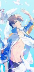  1boy bird black_male_swimwear blue_background brown_hair dove free! highres jacket looking_up male_focus male_swimwear nanase_haruka_(free!) open_clothes open_jacket parted_lips shaaark_rotta03 shading_eyes solo swim_trunks white_bird 
