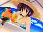  drink haruhi hat mitsumi_misato parrot straw_hat summer 