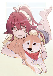  1girl :3 absurdres ahoge bare_arms bare_legs barefoot commentary_request crossed_bangs feet_up full_body hair_flaps highres idolmaster idolmaster_shiny_colors kikanngenntei komiya_kaho looking_at_viewer lying mamemaru_(shiny_colors) on_stomach ponytail red_hair red_scarf scarf shiba_inu simple_background white_background 