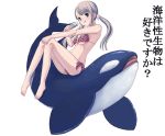  food ice_cream killerwhale kimidorin orca swimsuit translated 