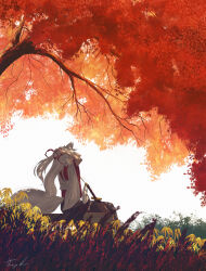  1girl absurdres animal_ears arms_behind_head autumn autumn_leaves commentary detached_sleeves grey_hair highres inubashiri_momiji leaf long_hair oubachiago outdoors procreate_(medium) red_ribbon ribbon sheath sheathed signature sitting skirt solo tail touhou tree tying_hair wolf_ears wolf_girl wolf_tail 