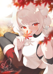  1girl animal_ears bench black_skirt black_thighhighs black_trim blurry breasts commentary_request composition_c_(no.iii)_with_red_yellow_and_blue depth_of_field detached_sleeves falling_leaves feet_out_of_frame from_behind highres holding holding_leaf inubashiri_momiji large_breasts leaf leaf_in_mouth long_sleeves looking_at_viewer looking_back maple_leaf motion_blur outdoors pom_pom_(clothes) red_skirt shirt short_hair sidelighting signature sitting skirt solo tail thigh-highs touhou twitter_username two-tone_skirt white_hair white_shirt wide_sleeves wolf_ears wolf_girl wolf_tail yuwano_(yuwanoonsen) zettai_ryouiki 