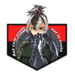 1girl angry arm_armor armor brown_hair covering_own_mouth green_eyes grey_hair high_ponytail jacket kaiba47 khartiia_brigade khrystyna_karpenko latin_text looking_at_viewer messy_hair military military_jacket military_uniform multicolored_hair original patch ponytail red_pupils russo-ukrainian_war shield short_hair shoulder_armor single_arm_armor soldier streaked_hair translated ukrainian_ground_forces ukrainian_insurgent_army_flag 