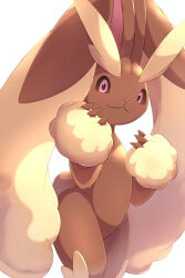  1other brown_sclera closed_mouth colored_sclera commentary_request furry hands_up highres looking_down lopunny pink_eyes pokemon pokemon_(creature) rumine_(yoshi1234567) simple_background smile white_background 