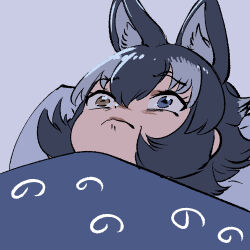  1girl animal_ears blanket blue_eyes close-up extra_ears frown grey_hair grey_wolf_(kemono_friends) hair_between_eyes heterochromia kemono_friends mcgunngu multicolored_hair pillow sidelocks solo under_covers white_hair wolf_ears wolf_girl yellow_eyes 