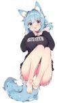  1girl absurdres animal_ear_fluff animal_ears bare_legs blue_eyes blue_hair blush clothes_writing collar commentary_request english_text fang feet fox_ears fox_girl fox_tail hair_intakes haruyuki_(yukichasoba) highres hood hoodie long_sleeves looking_at_viewer original panties red_collar skin_fang skirt solo tail underwear white_background white_panties 
