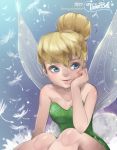  1girl disney fairy kawacy peter_pan solo 