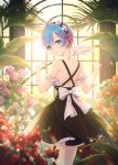  1girl blue_eyes blue_hair eyebrows_visible_through_hair flower from_behind hair_ornament hair_ribbon highres indoors looking_at_viewer looking_back maid_headdress pink_flower pink_rose re:zero_kara_hajimeru_isekai_seikatsu red_ribbon rem_(re:zero) ribbon rose rwael short_hair solo standing x_hair_ornament 