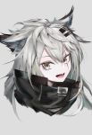  1girl :d absurdres animal_ears arknights bangs commentary_request eyebrows_visible_through_hair grey_background grey_eyes hair_between_eyes hair_ornament hairclip high_collar highres lappland_(arknights) lechiennoir long_hair looking_at_viewer messy_hair open_mouth partial_commentary portrait scar scar_across_eye silver_hair simple_background smile solo wolf_ears 