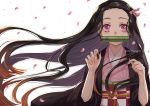  1girl bamboo bangs bit_gag black_hair brown_hair checkered commentary fingernails floating_hair forehead gag gradient_hair hair_ribbon hands_up japanese_clothes kamado_nezuko kimetsu_no_yaiba kimono long_hair looking_at_viewer mouth_hold multicolored_hair obi open_clothes parted_bangs petals pink_eyes pink_kimono pink_ribbon ribbon sash sharp_fingernails short_sleeves simple_background solo ten-chan_(eternal_s) upper_body very_long_fingernails very_long_hair white_background 