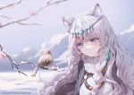  1girl absurdres animal_ear_fluff animal_ears arknights artist_name bangs bird braid branch closed_mouth commentary eyebrows_visible_through_hair flower headpiece highres jewelry leopard_ears long_hair necklace pink_flower pramanix_(arknights) silver_hair snow tomonyannyan turtleneck twin_braids upper_body violet_eyes winter 