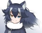  1girl animal_ears artist_request black_hair blue_eyes commentary commentary_request eyebrows_visible_through_hair fur_collar fur_trim grey_wolf_(kemono_friends) heterochromia kemono_friends light_smile looking_at_viewer multicolored_hair simple_background solo two-tone_hair white_background white_hair wolf_ears wolf_girl yellow_eyes 