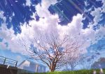  bare_tree blue_sky cherry_blossoms clouds cloudy_sky commentary_request day grass house mocha_(cotton) no_humans original outdoors petals pole railing scenery sky spring_(season) tree window 