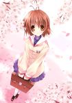  bag brown_eyes brown_hair cherry_blossoms clannad flower furukawa_nagisa paco petals school_bag school_uniform serafuku short_hair 