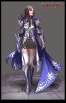  anima_beyond_fantasy armor highres long_hair paladin sword thigh-highs thighhighs weapon wen-m 