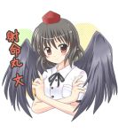  1girl exe_(xe) shameimaru_aya solo touhou wings 