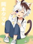  1boy animal_ears brown_hair cat_boy cat_ears commentary_request eyebrows_visible_through_hair highres looking_at_viewer male_focus meranoreuka_(naokentak) multicolored_hair okamoto_tama one_eye_closed partial_commentary paw_pose solo two-tone_hair uchi_no_tama_shirimasen_ka? violet_eyes white_hair 