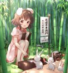  1girl :d absurdres animal animal_ears bamboo bamboo_forest barefoot blush brown_eyes brown_hair carrot carrot_necklace clipboard commentary_request day dress forest highres holding inaba_tewi nature open_mouth outdoors pink_dress pointing puffy_short_sleeves puffy_sleeves rabbit rabbit_ears ribbon-trimmed_dress short_hair short_sleeves sign smile solo squatting stick_jitb touhou translation_request 