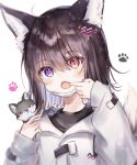  1girl :o ahoge animal_ear_fluff animal_ears animal_on_shoulder bangs black_hair black_shirt blush commentary_request eyebrows_visible_through_hair fang finger_in_mouth hair_between_eyes hair_ornament hands_up heterochromia highres jacket long_sleeves looking_at_viewer mouth_pull multicolored_hair open_mouth original purple_hair red_eyes rukako shirt simple_background sleeves_past_wrists solo tail tail_raised two-tone_hair upper_body violet_eyes white_background white_jacket wolf wolf_ears wolf_girl wolf_tail 