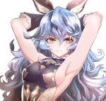  1girl animal_ears armpits arms_behind_head blue_hair breasts erune eyebrows_visible_through_hair ferry_(granblue_fantasy) granblue_fantasy h-y-d hair_between_eyes long_hair medium_breasts sideboob simple_background smile solo upper_body white_background yellow_eyes 