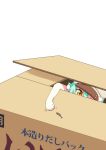  1girl box cacao_(nekopara) cardboard_box commentary_request dried_fish gobanme_no_mayoi_neko green_hair hair_between_eyes hat highres in_box in_container nekopara outstretched_arm paw_pose peaked_cap simple_background solo white_background yellow_eyes 