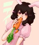  ashiya_(pixiv) black_hair bunny_ears carrot eating inaba_tewi rabbit_ears short_hair touhou 