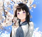  1girl bangs black_hair black_sailor_collar blue_sky blunt_bangs blurry branch cherry_blossoms chitanda_eru depth_of_field grey_neckwear highres hyouka long_hair looking_at_viewer mery_(apfl0515) neckerchief sailor_collar school_uniform serafuku sky smile solo upper_body violet_eyes 