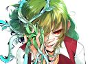  1girl ascot eyebrows_visible_through_hair green_hair hair_between_eyes highres itocoh kazami_yuuka leaf long_sleeves looking_at_viewer medium_hair open_mouth plant portrait red_eyes red_vest shirt smile solo touhou vest vines wavy_hair white_background white_shirt 