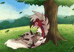  blue_sky closed_eyes clouds cloudy_sky creature full_body gen_7_pokemon grass hug leaf looking_at_another lycanroc lycanroc_(midday) lycanroc_(midnight) lying no_humans on_lap on_stomach outdoors pokemon pokemon_(creature) pokemon_on_lap red_eyes shiwo_(siwosi) sitting sky tree wind 