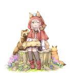  1girl ;d animal_ears animal_on_head animal_on_lap animal_on_shoulder bangs bird bird_on_head black_legwear black_skirt blue_flower bluebird blush boots brown_eyes capelet commentary_request ears_through_headwear eyebrows_visible_through_hair fang flower fox full_body hair_between_eyes hood hood_up hooded_capelet kneehighs long_hair long_sleeves on_head one_eye_closed open_mouth original pink_hair pleated_skirt purple_flower rabbit raccoon red_capelet red_footwear shirt simple_background sitting skirt smile solo squirrel tail tree_stump wataame27 white_background white_flower white_shirt wolf-chan_(wataame27) wolf_ears wolf_girl wolf_tail 