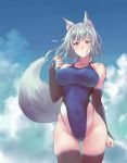  1girl animal_ear_fluff animal_ears black_legwear blue_sky blue_swimsuit breasts bridal_gauntlets clouds competition_swimsuit covered_navel cowboy_shot fox_ears fox_girl fox_tail highleg highleg_swimsuit large_breasts long_hair looking_at_viewer one-piece_swimsuit original sawaya_(mizukazu) silver_hair sky solo standing swimsuit tail thigh-highs yellow_eyes 