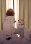  1girl arm_support blue_collar brown_hair cellphone collar curtains dog dog_collar from_behind grey_pants leash mattaku_mousuke mouth_hold on_bed original pants phone pillow shirt short_hair sitting sitting_on_bed smartphone solo t-shirt welsh_corgi white_shirt 