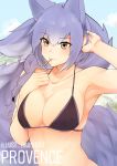 1girl absurdres animal_ears arknights arm_up armpits artist_name bangs bare_shoulders bikini black_bikini blue_sky blush braid breasts brown_eyes character_name clouds collarbone commentary daiishori day eyebrows_visible_through_hair hair_between_eyes halterneck highres large_breasts long_hair looking_at_viewer mouth_hold outdoors provence_(arknights) purple_hair sky smile solo stomach swimsuit tail upper_body wolf_ears wolf_tail 